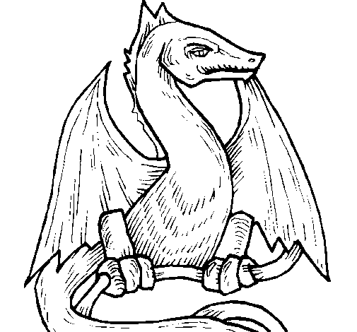 Dragon  2 coloring page