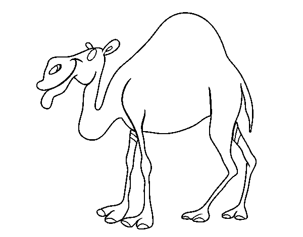 Dromedary coloring page