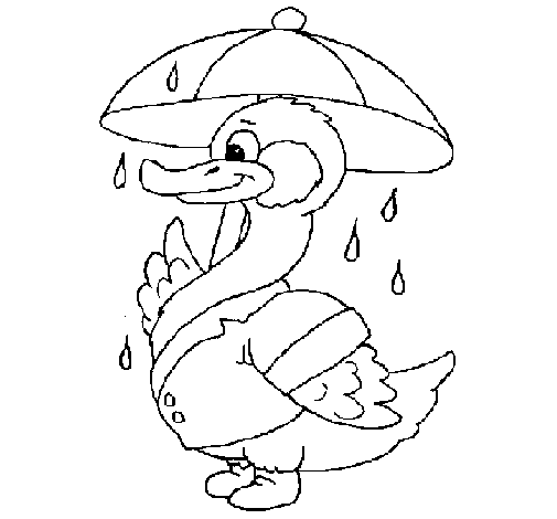 Duck in the rain coloring page