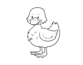 Dibujo de Ducky farm