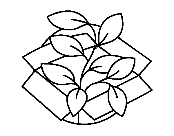 Ecological plant coloring page