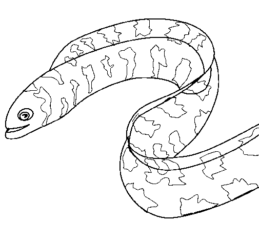 Eel coloring page