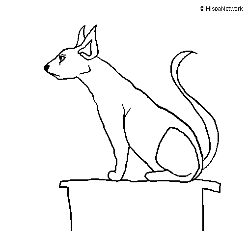 Egyptian cat II coloring page