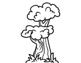 Elm coloring page