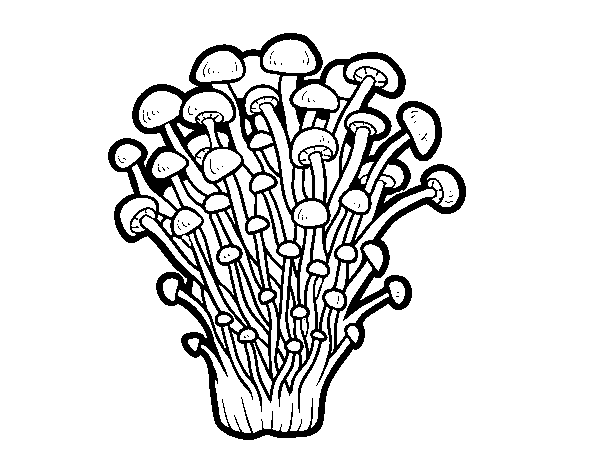 Enoki mushroom coloring page