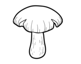 Entoloma sinuatum mushroom coloring page