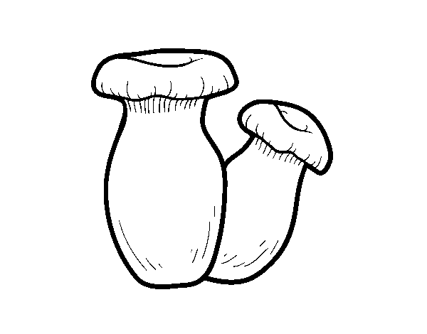 Eryngii mushroom coloring page