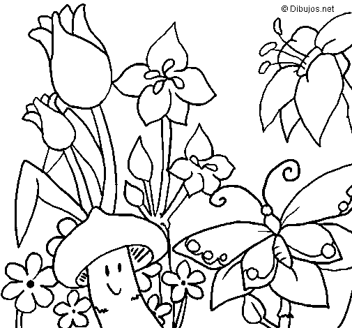 Fauna and Flora coloring page