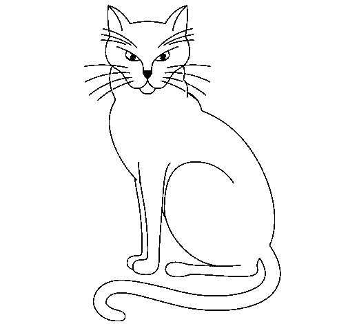 Feline coloring page