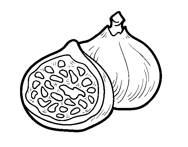 Figs coloring page