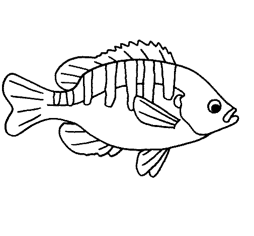 Fish 4a coloring page
