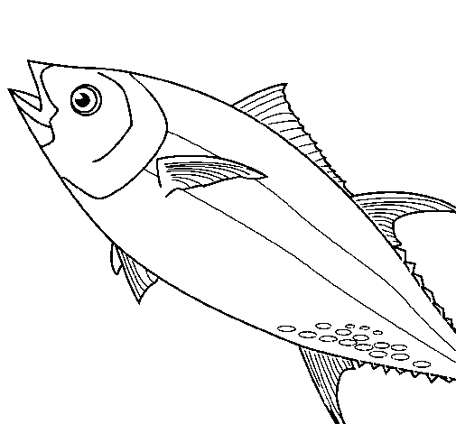 Fish 6 coloring page
