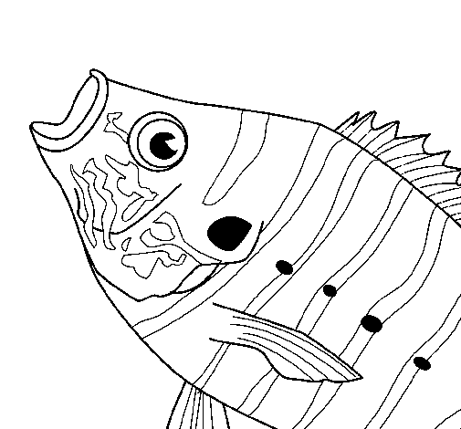 Fish 8 coloring page