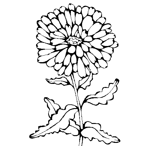 Flower 3a coloring page