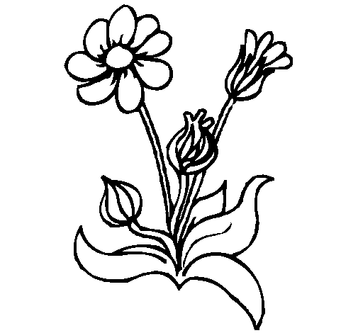 Flowers 2 coloring page