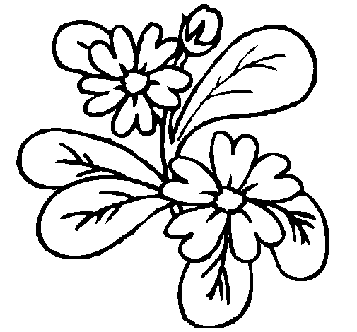 Flowers 4a coloring page