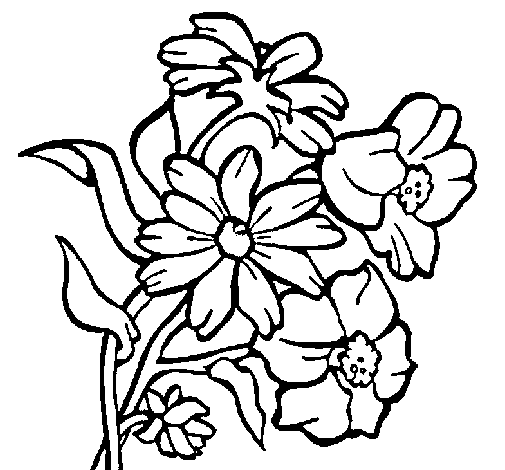 Flowers coloring page - Coloringcrew.com