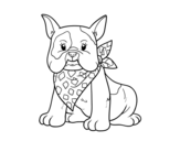 French Bulldog coloring page