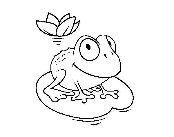 Frog and water lily coloring page