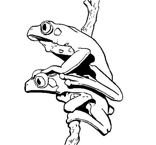 Frogs coloring page