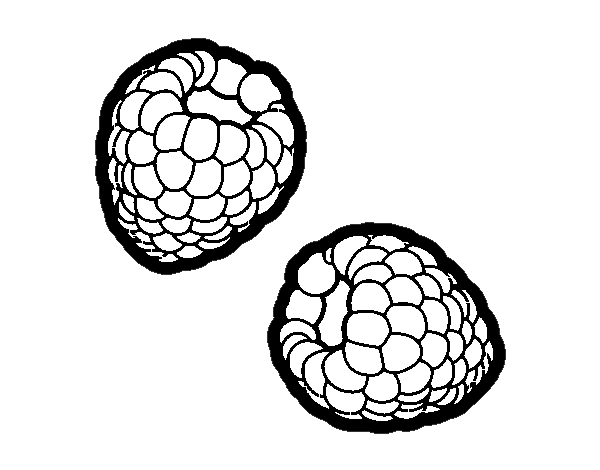Fruits of the Forest coloring page