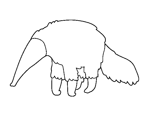 Furry anteater coloring page