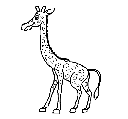 Giraffe 1 coloring page