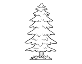 Great fir tree coloring page