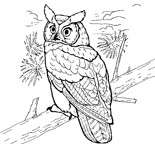 Great horned owl coloring page