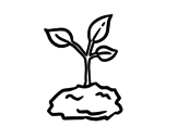 Green sprout coloring page