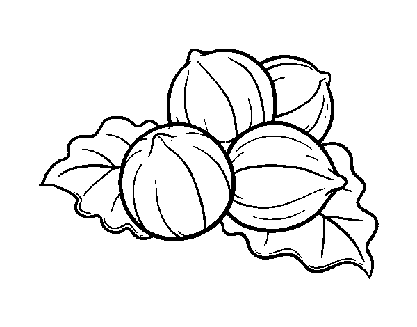 Hazelnuts coloring page