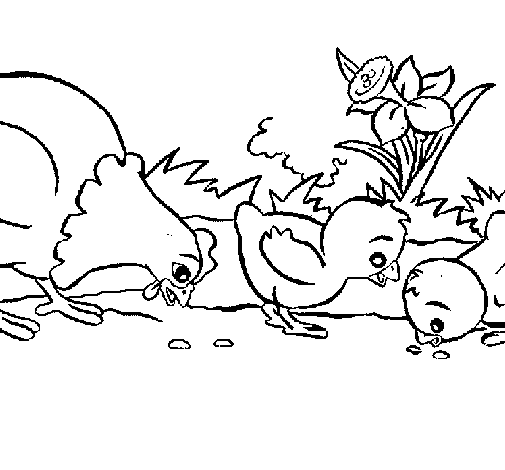 Hen and chicks coloring page