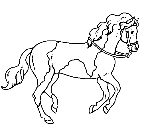 Horse 5 coloring page