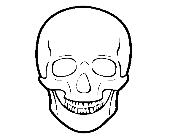 Human skull coloring page