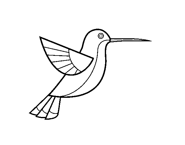 Hummingbird coloring page