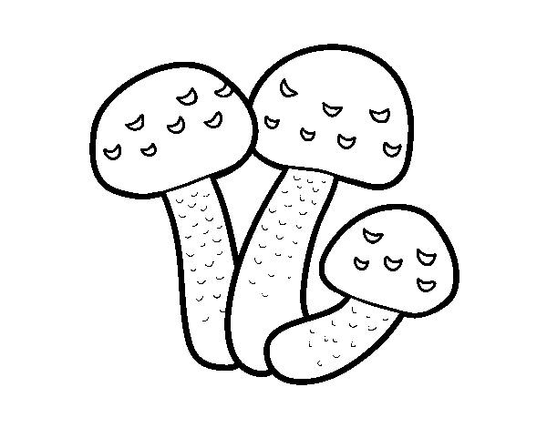 hypholoma fasciculare mushroom coloring page
