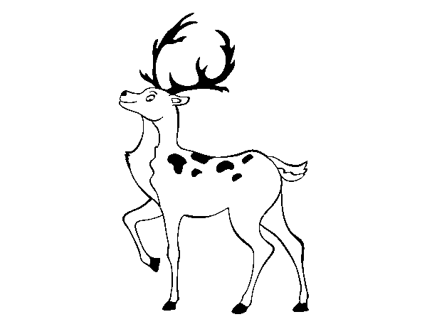 Iberian deer coloring page