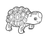 Indian star tortoise coloring page