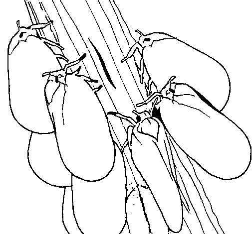 Insects on a trunk coloring page