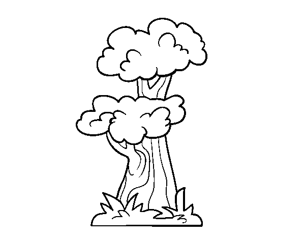 Japanese tree coloring page