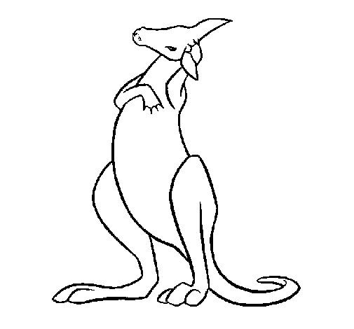Kangaroo coloring page