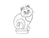 Kitten in a box coloring page