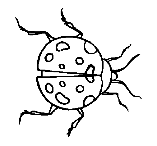 Ladybird 1 coloring page