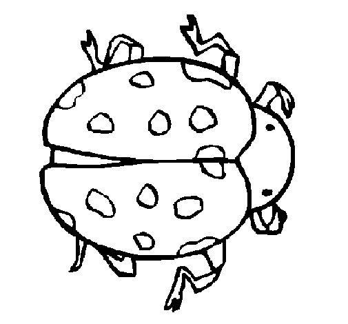 Ladybird 2 coloring page