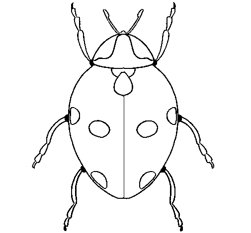 Ladybird 3 coloring page