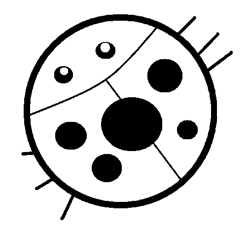 Ladybird 5 coloring page
