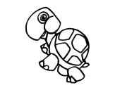 Land turtle coloring page