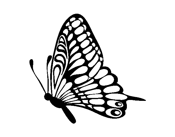 Left butterfly coloring page
