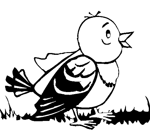 Little bird coloring page
