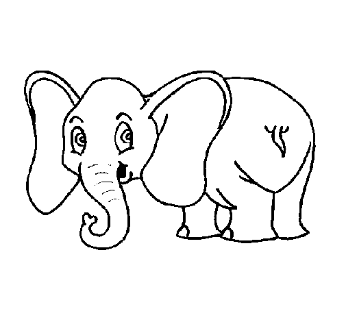 Little elephant coloring page